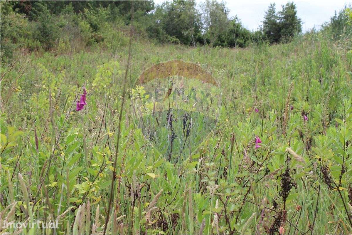 Terreno no Ameal,Taveiro - Grande imagem: 5/6
