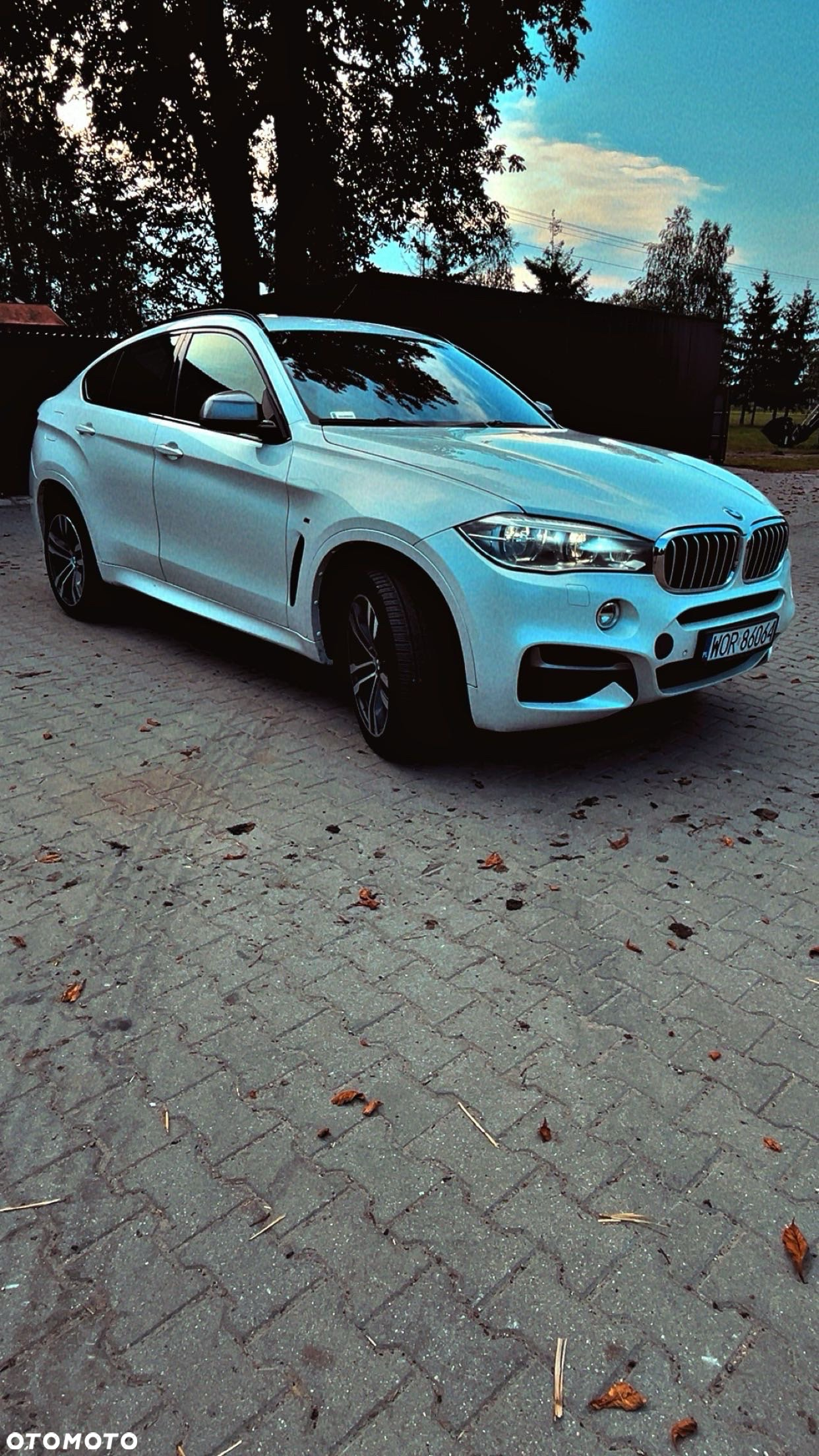 BMW X6M - 2