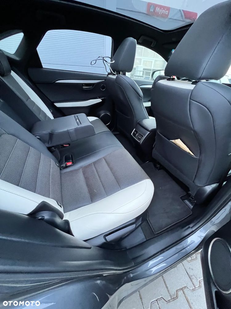 Lexus NX 300h F Sport AWD - 13