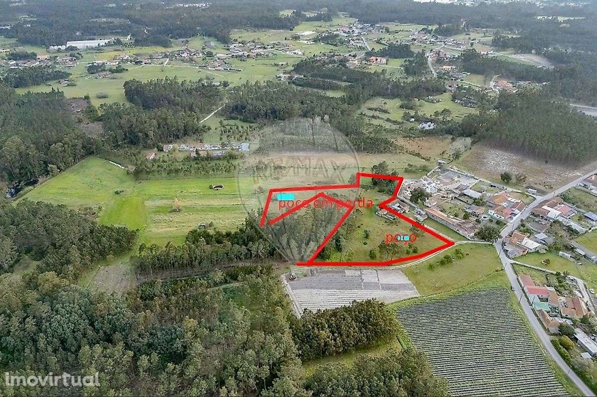 Quinta T2 para venda - Grande imagem: 3/11