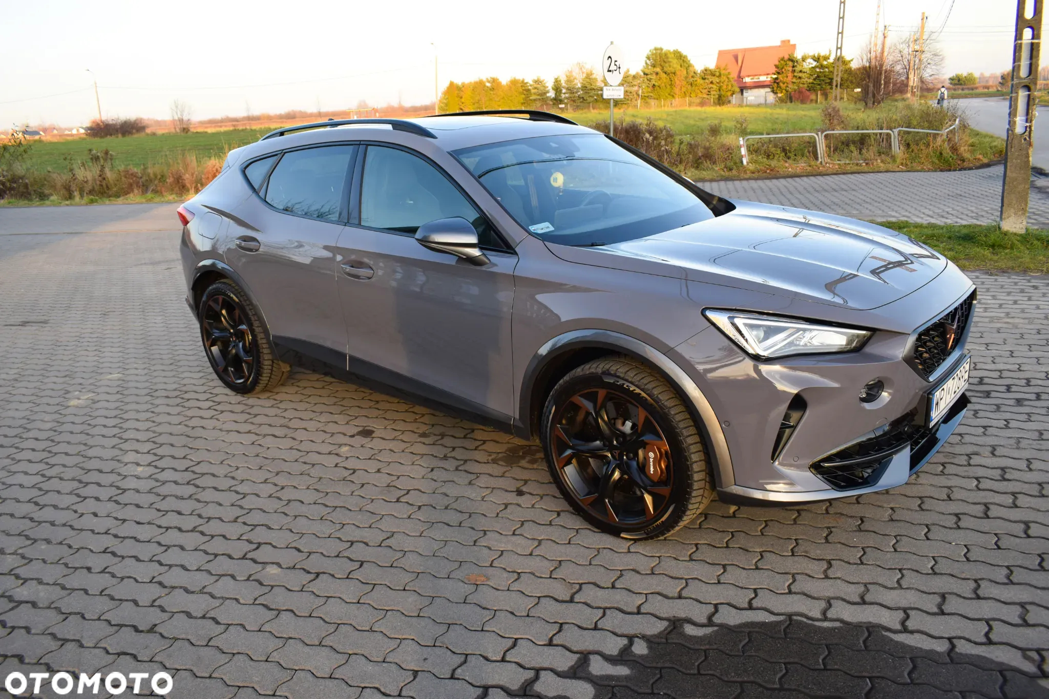Cupra Formentor - 17