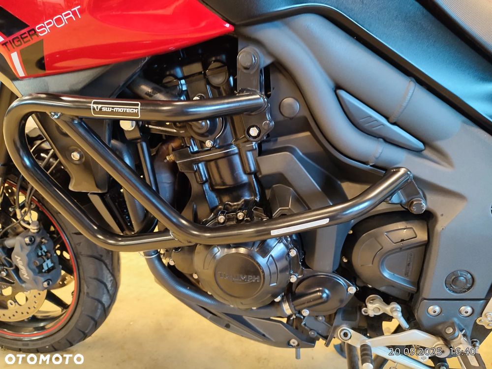 Triumph Tiger - 18