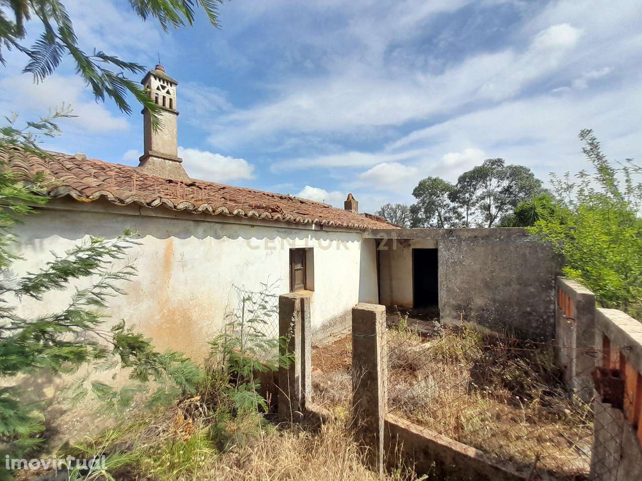 Herdade em Santana da Serra de 14 Hectares com casa de 100m2 para recu - Grande imagem: 5/44