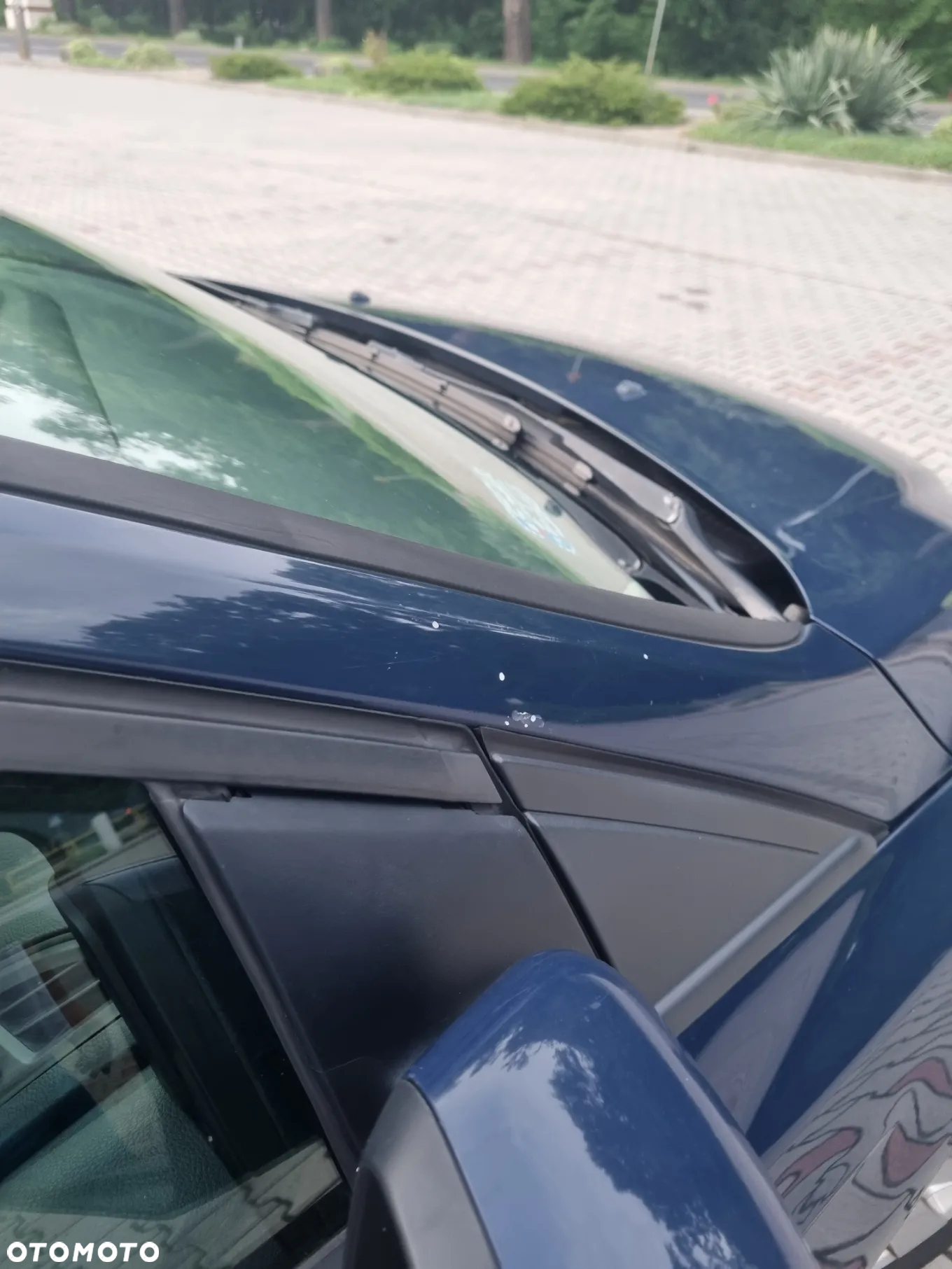 Ford Focus - 7
