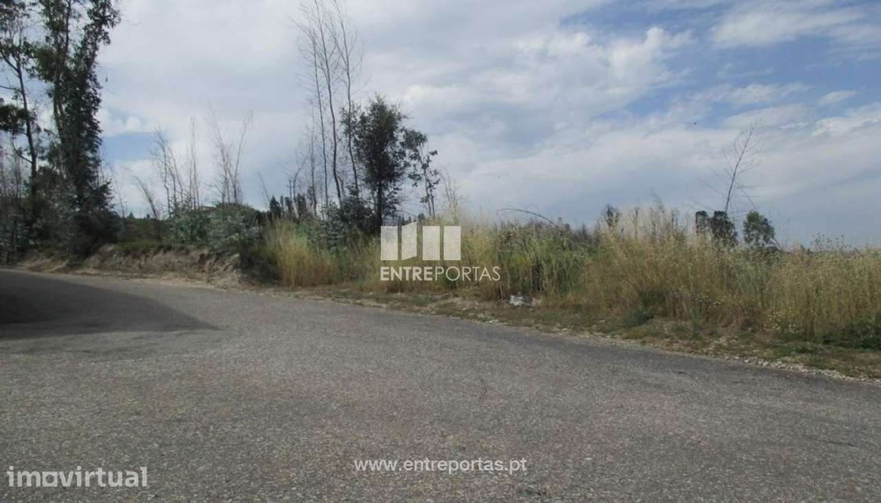 Venda Terreno, Oliveira, Amarante - Grande imagem: 3/12