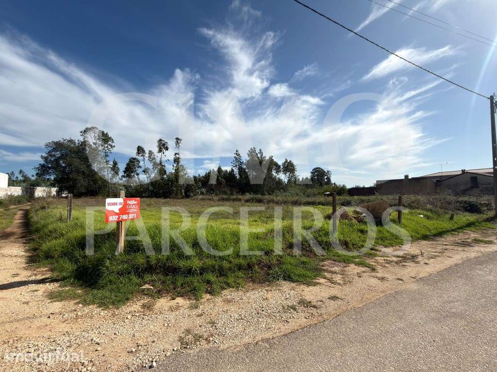 TERRENO URBANO EM ANADIA - Grande imagem: 3/15