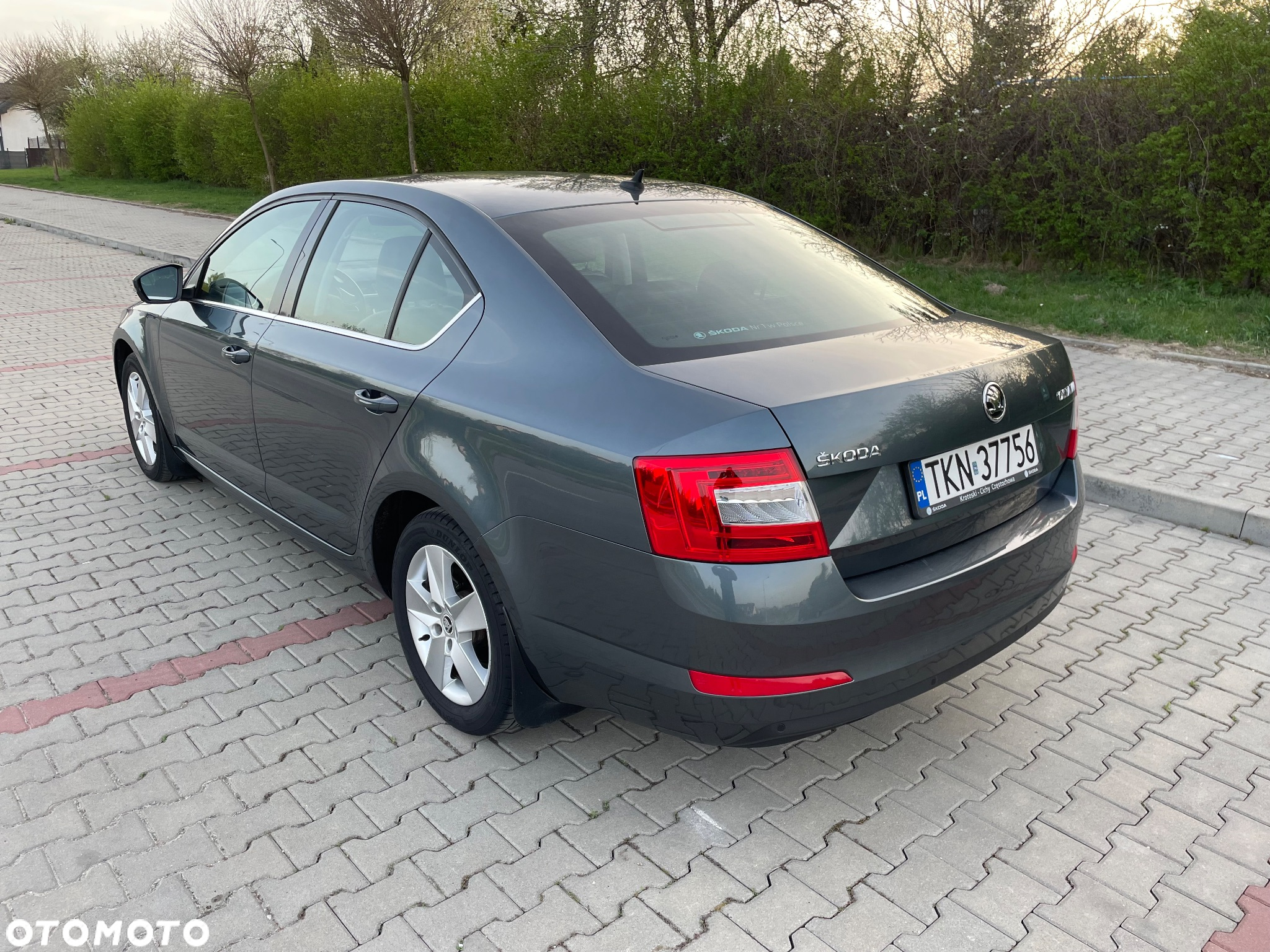 Skoda Octavia 2.0 TDI Style - 8