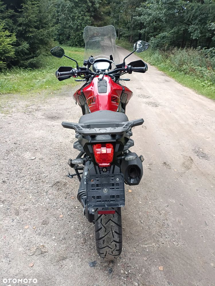 Triumph Tiger - 10