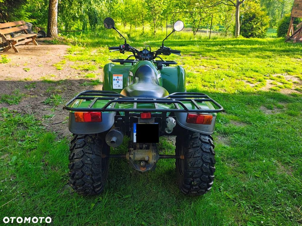 Kawasaki Brute Force - 4