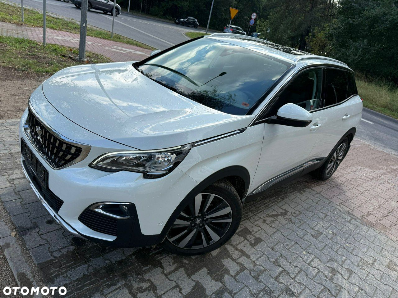 Peugeot 3008 - 21