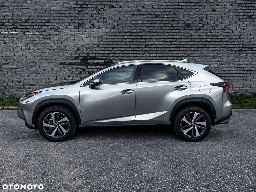 Lexus NX - 8