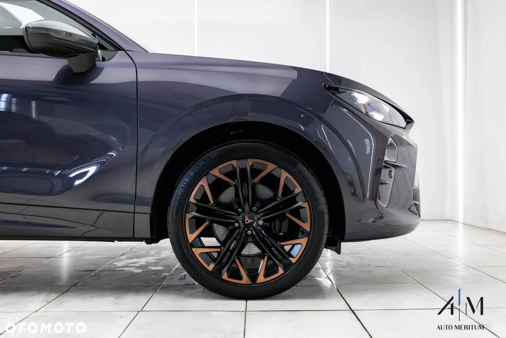 Cupra Terramar 2.0 TSI 4Drive VZ DSG - 4