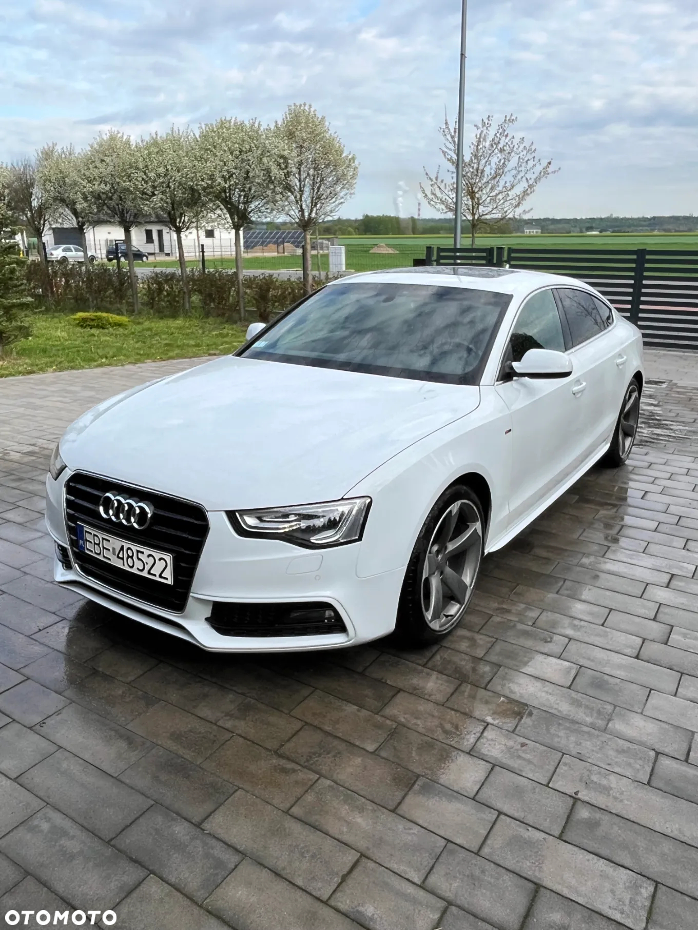 Audi A5 Coupe 2.0 TDI - 2