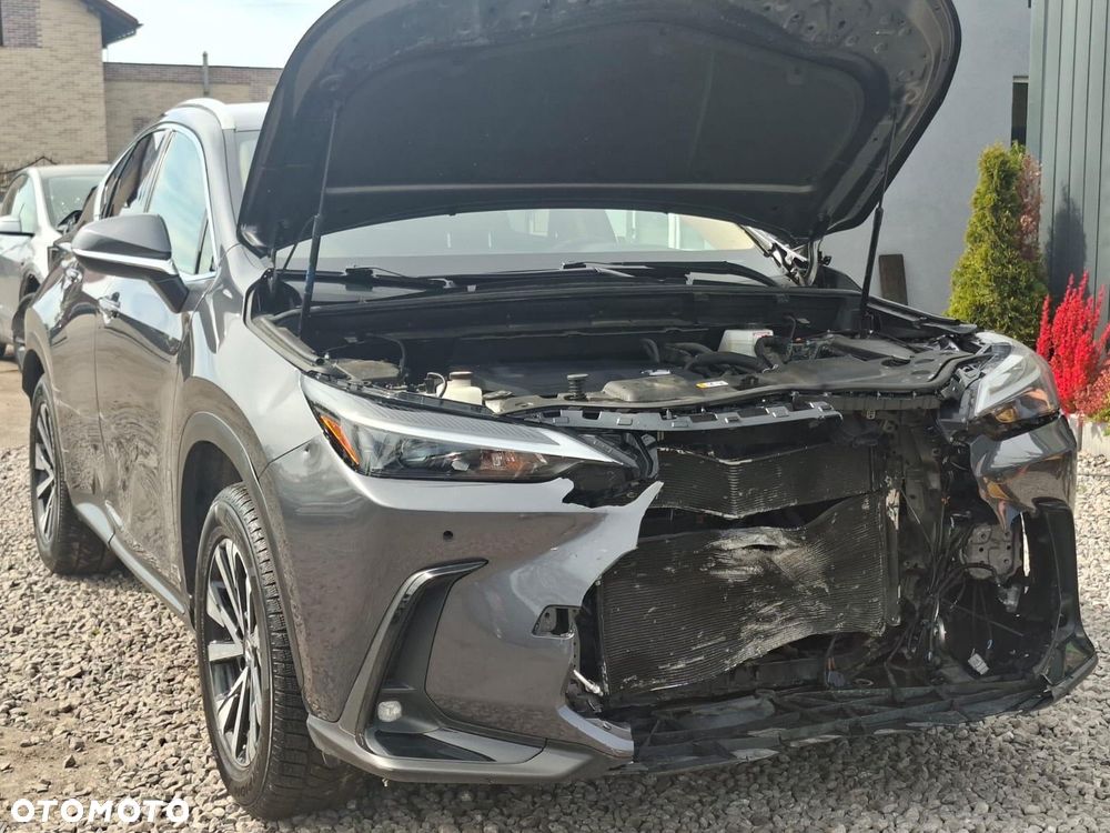Lexus NX - 12