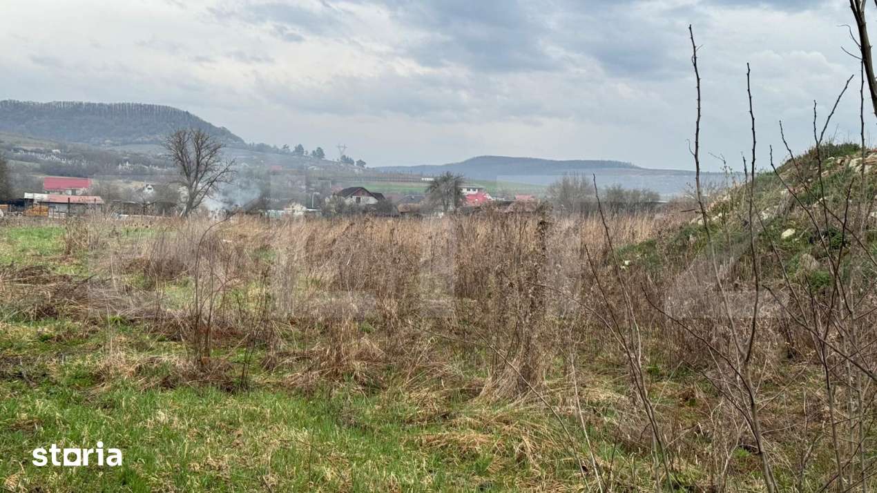 Teren Pentru Constructii 9292 mp- zona Cuzdrioara - Imagine principală: 2/5