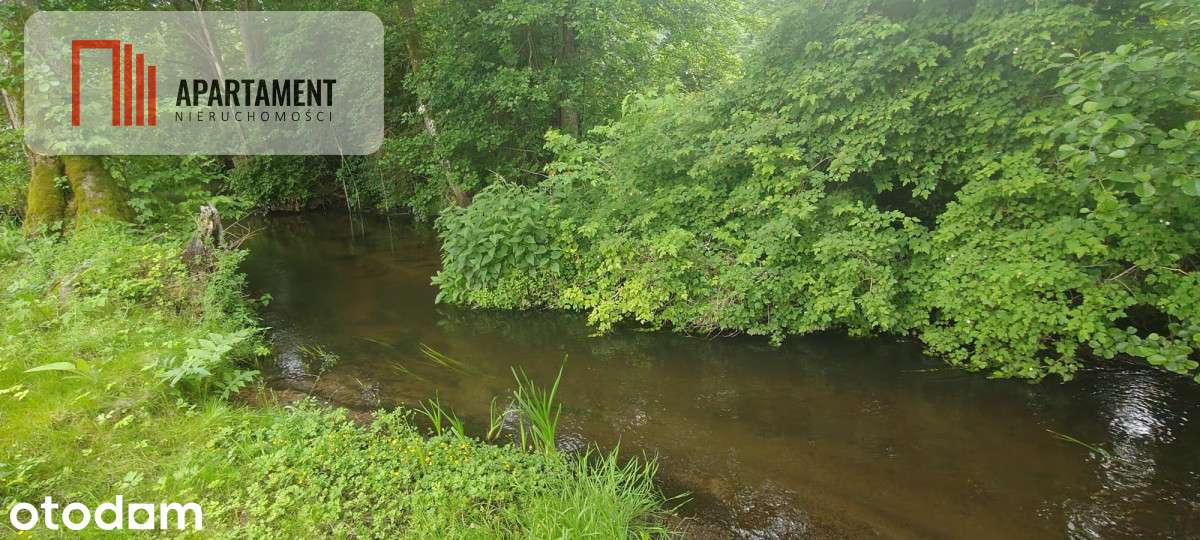 Obniżka !!!Dom nad rzeką dz. 2924 m²  Natura 2000 - Pełny obrazek: 2/20