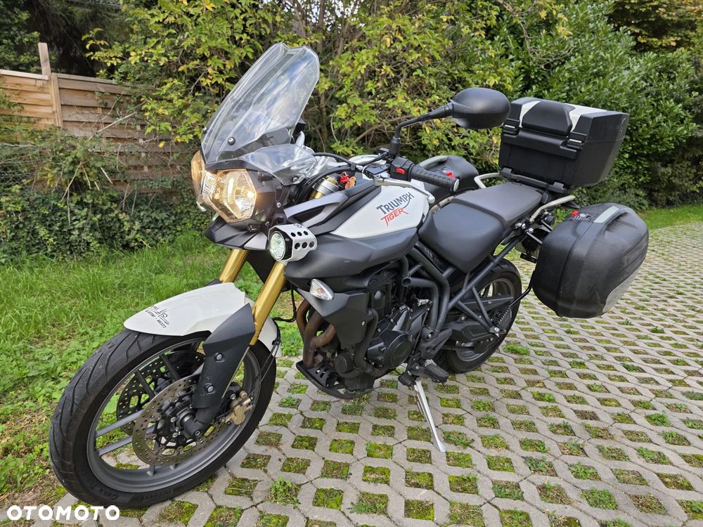 Triumph Tiger - 5