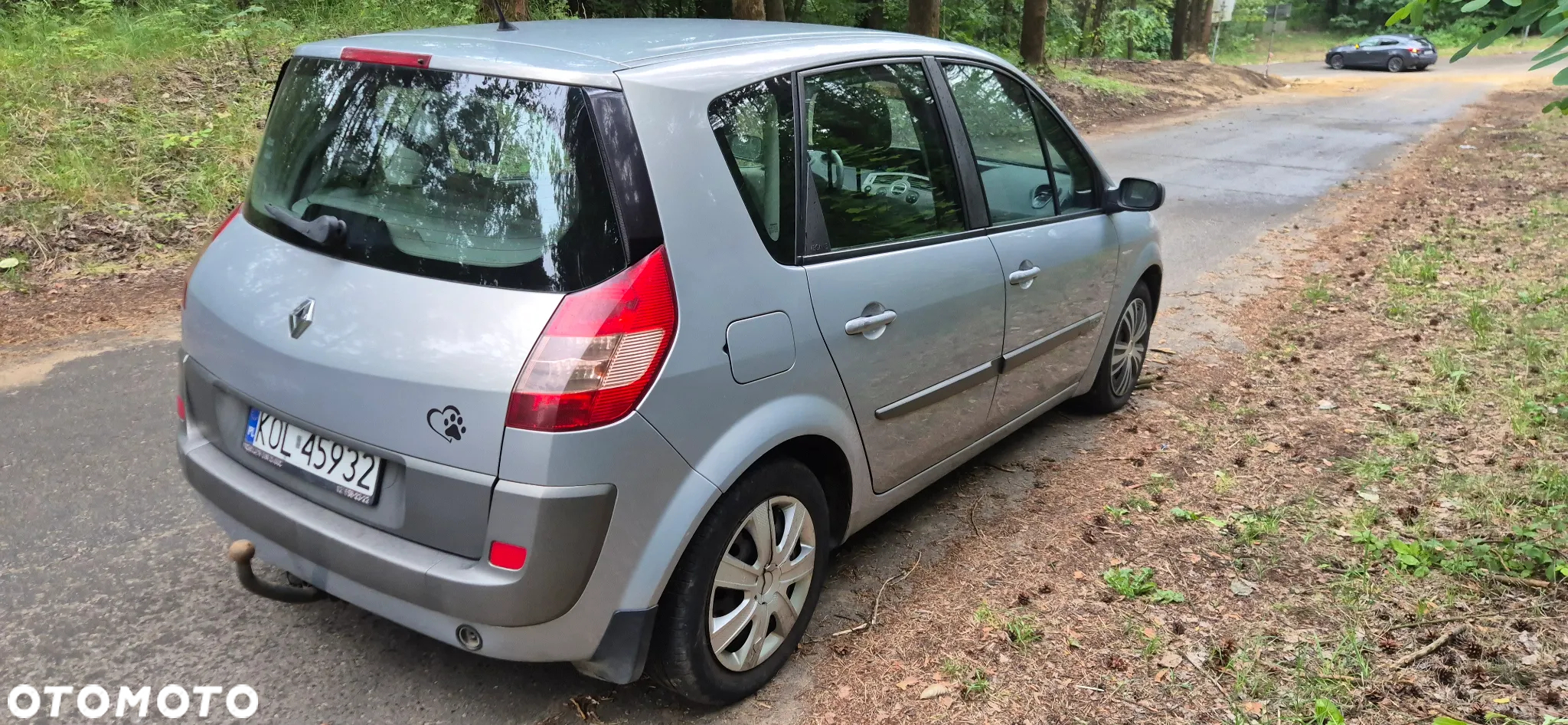 Renault Scenic - 4