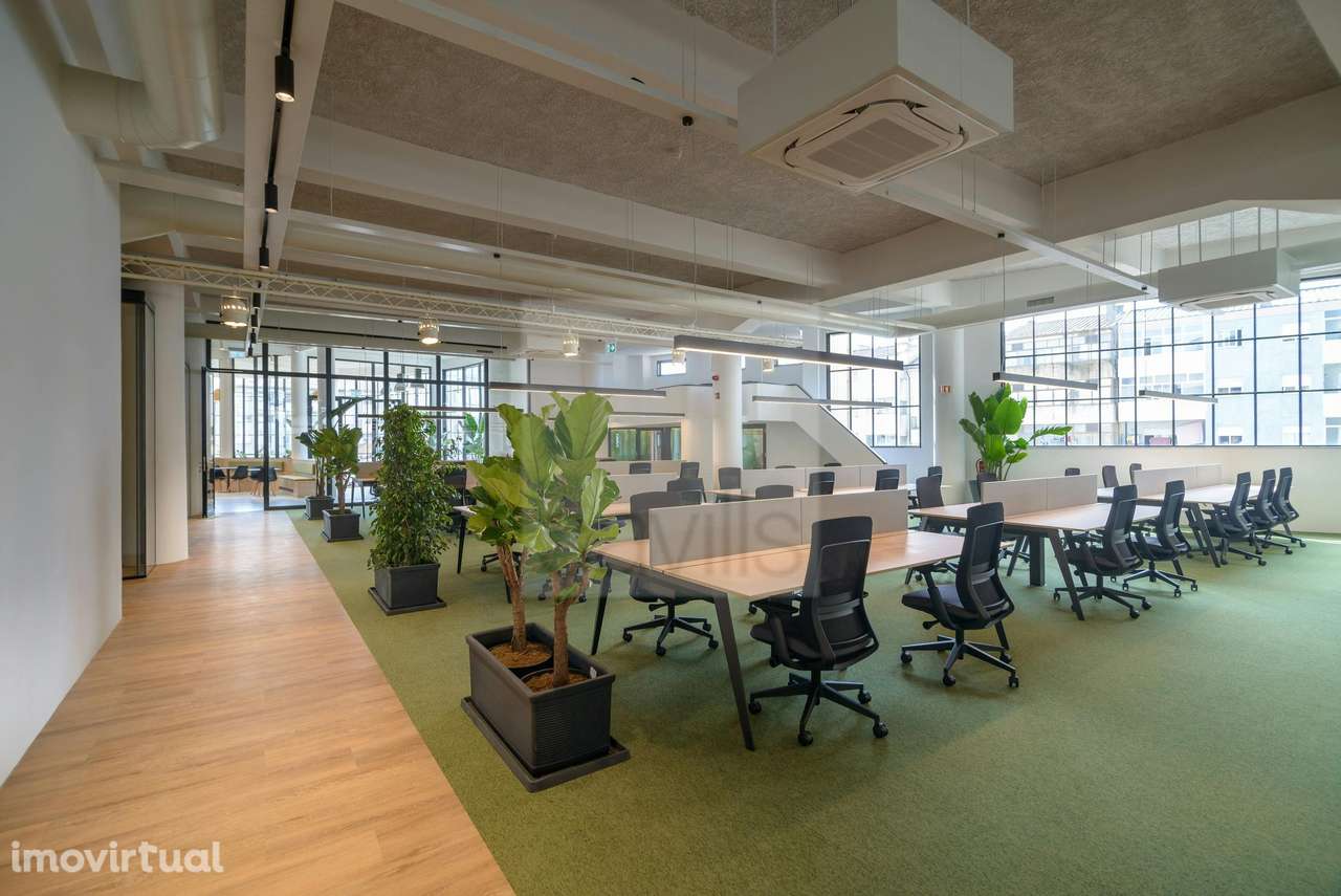 Latino Coelho 85 - Grande imagem: 2/14