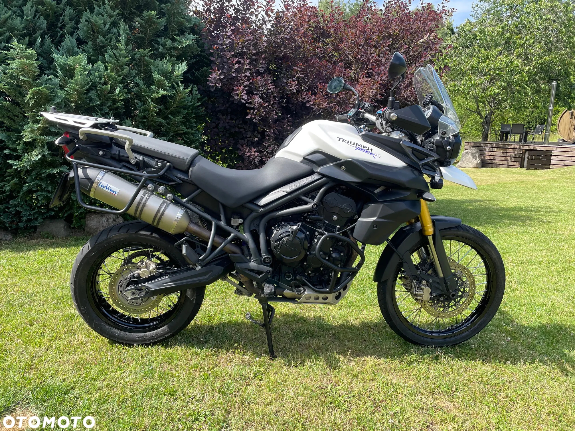 Triumph Tiger - 2