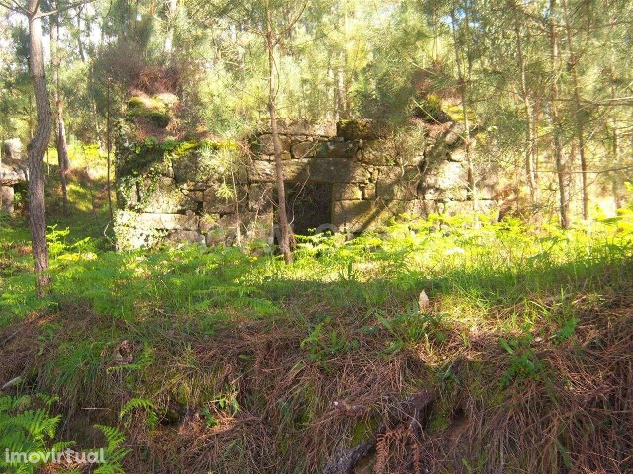 Terreno com ruina / Marco de Canaveses, Sande e São Lourenço - Grande imagem: 5/6