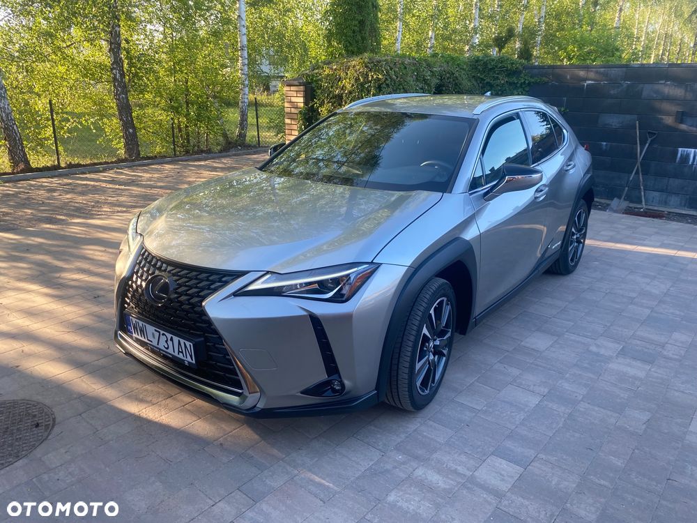 Lexus UX 250h GPF Business Edition 2WD - 17