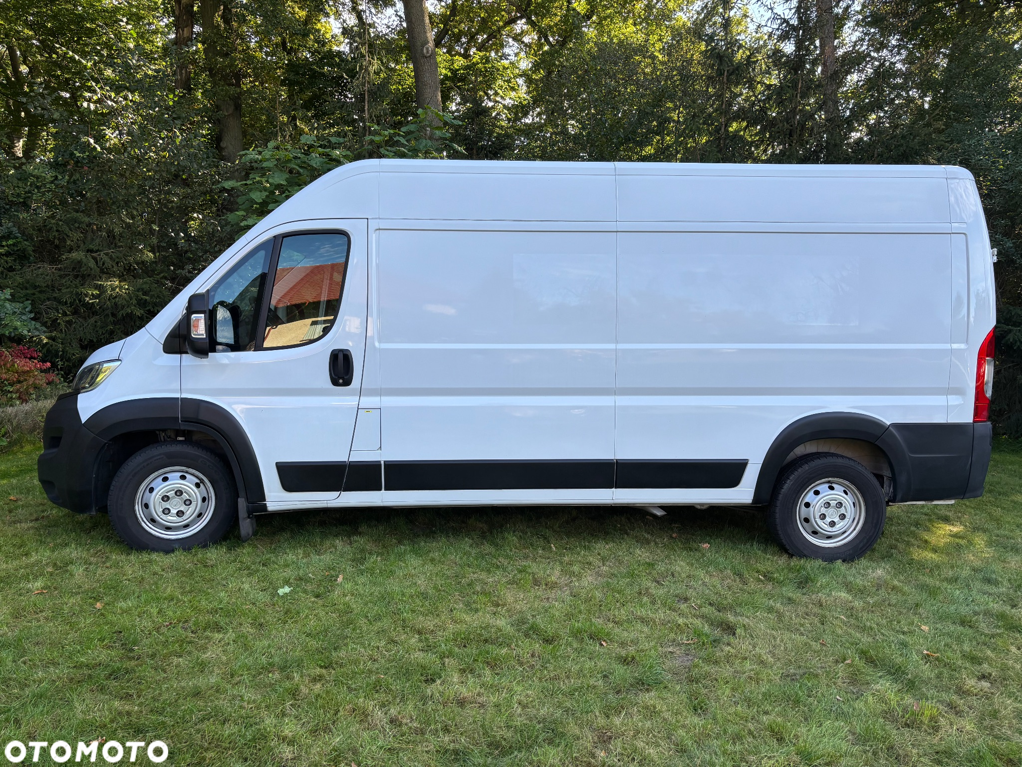 Opel Movano - 2