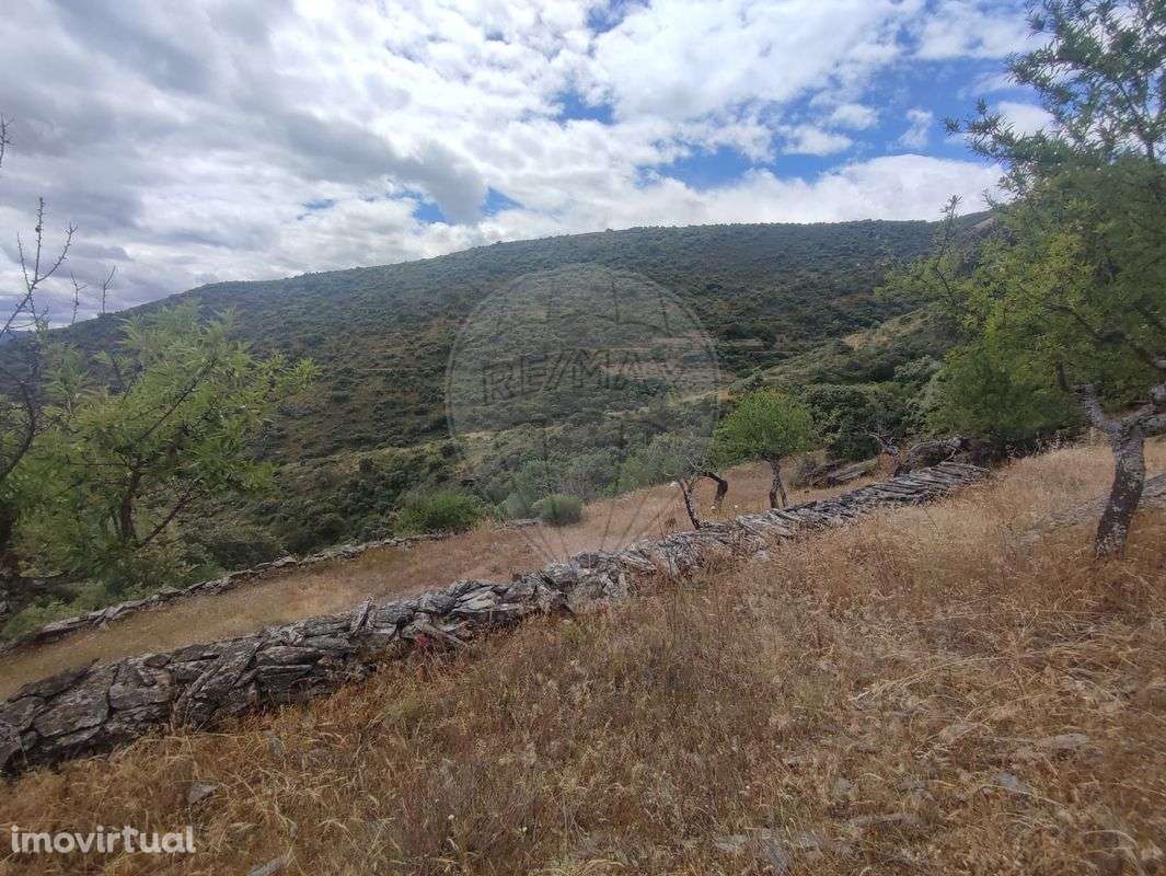 Terreno  para venda - Grande imagem: 3/7