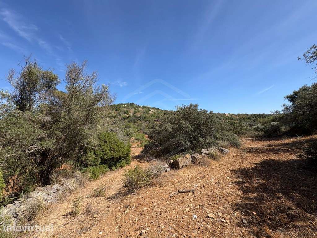 Terreno Agrícola com 7.120 m² em Loulé, Algarve - Grande imagem: 5/12