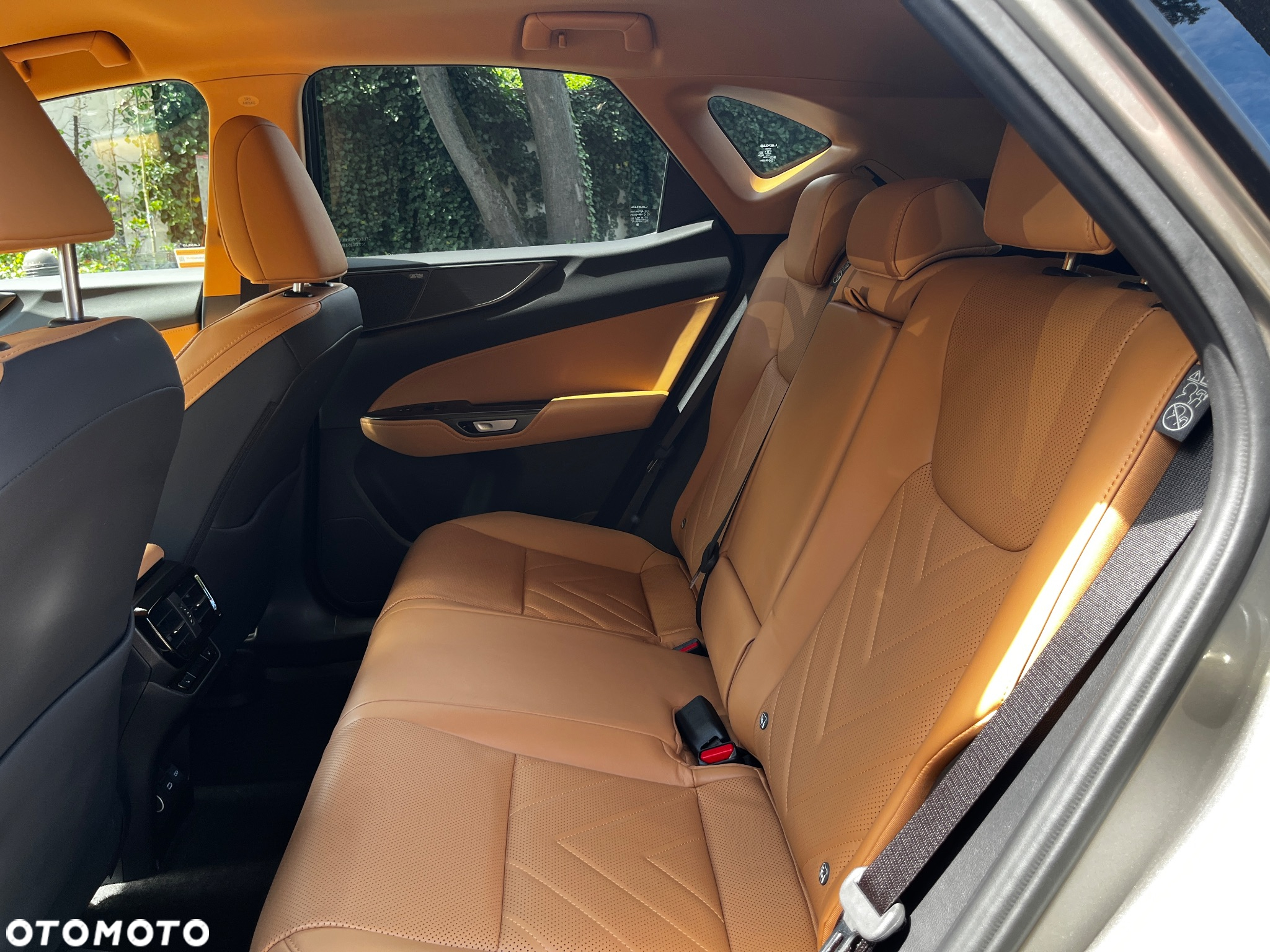 Lexus NX 350h Omotenashi AWD - 12
