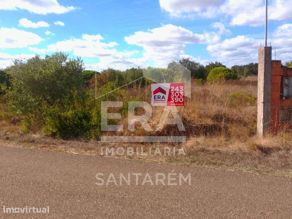 Terreno Rústico com 22.560 m² em Almoster - Grande imagem: 2/5