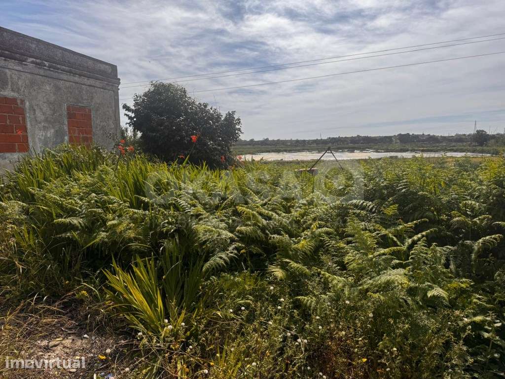 Terreno, Praias do Sado , Setubal - Grande imagem: 4/9