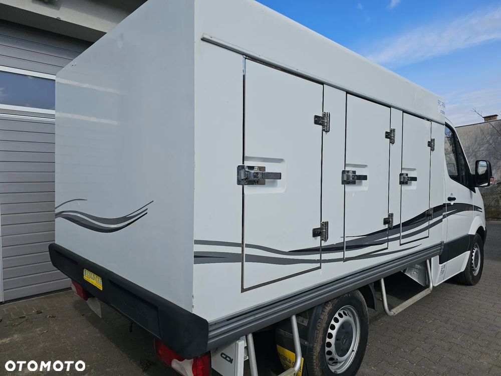 Mercedes-Benz sprinter 310 CDI  Mroźnia /chłodnia firmy COLD CAR - 20
