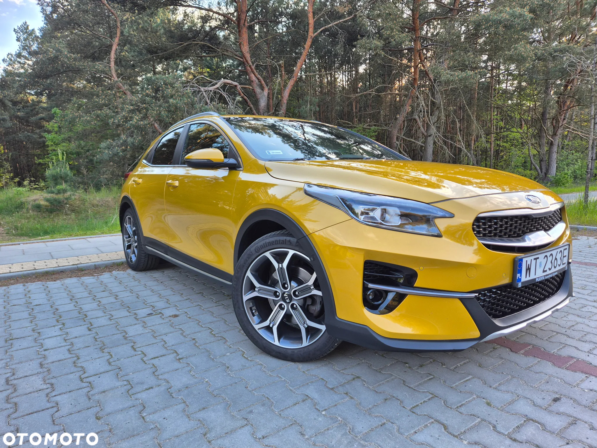 Kia XCeed 1.5 T-GDI L Business Line DCT - 6