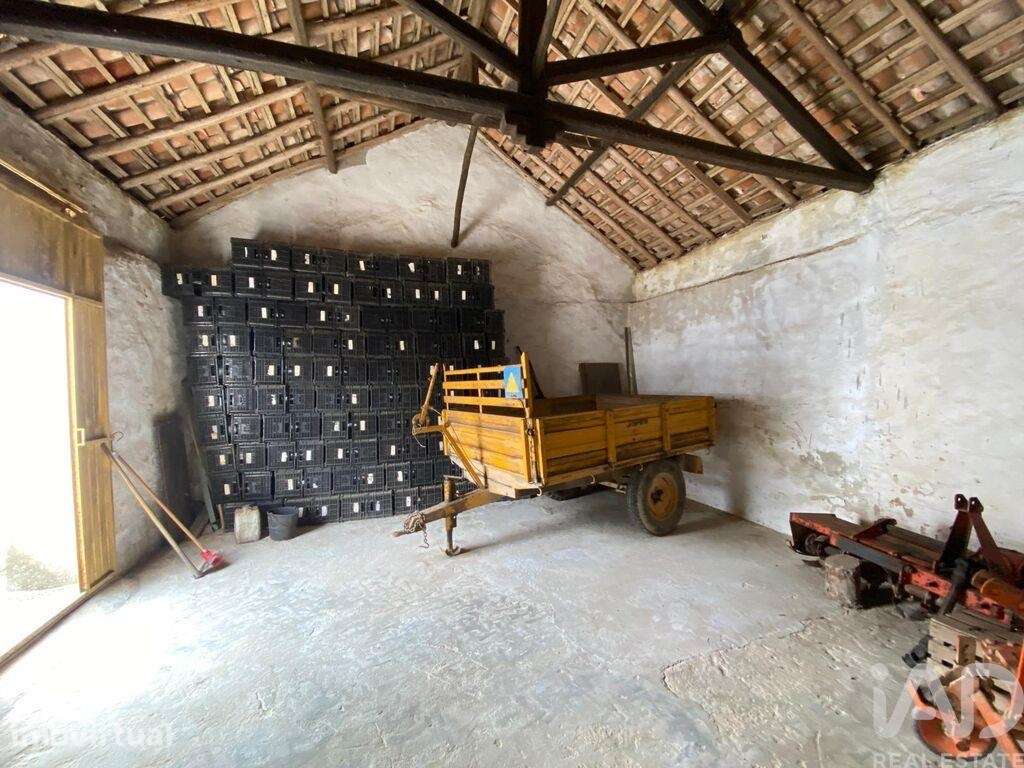 Casa de Campo em Carvalhal de 64 m2 - Grande imagem: 5/10