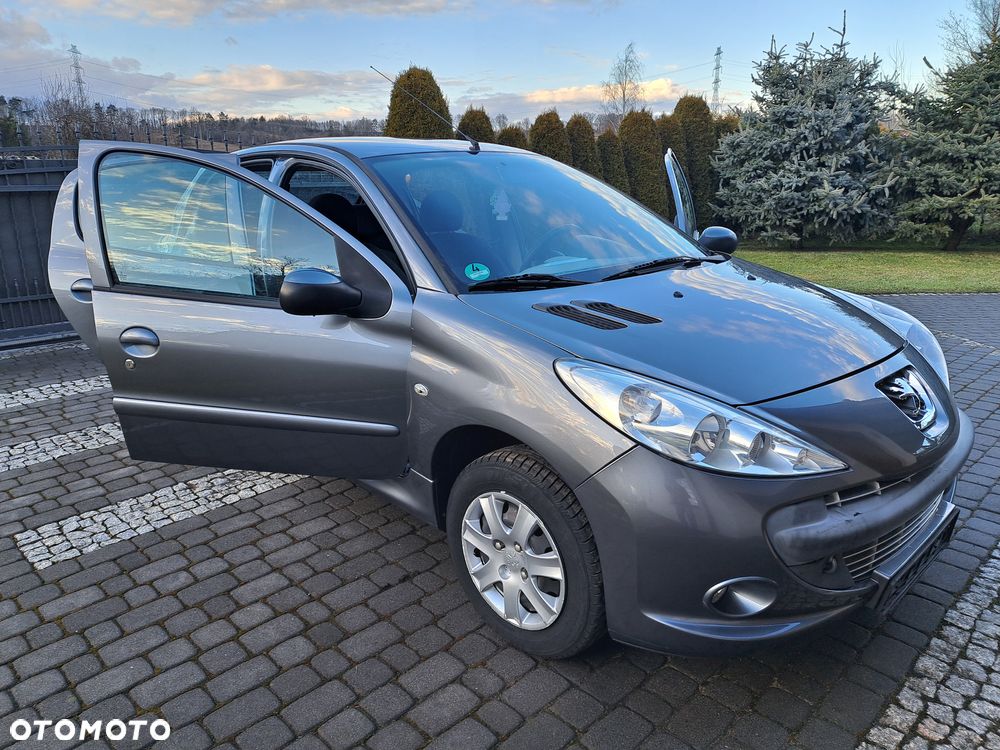 Peugeot 206 plus 60 - 20