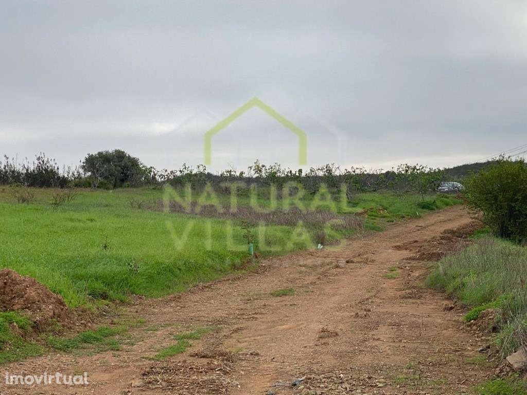 Terreno Rústico em Cercadinho Novo, Tavira - Grande imagem: 5/6