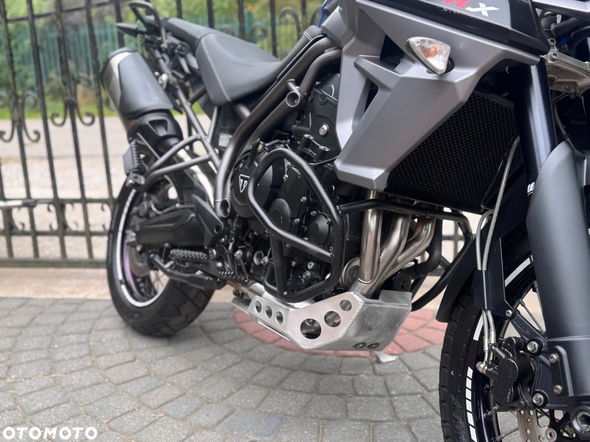 Triumph Tiger - 12