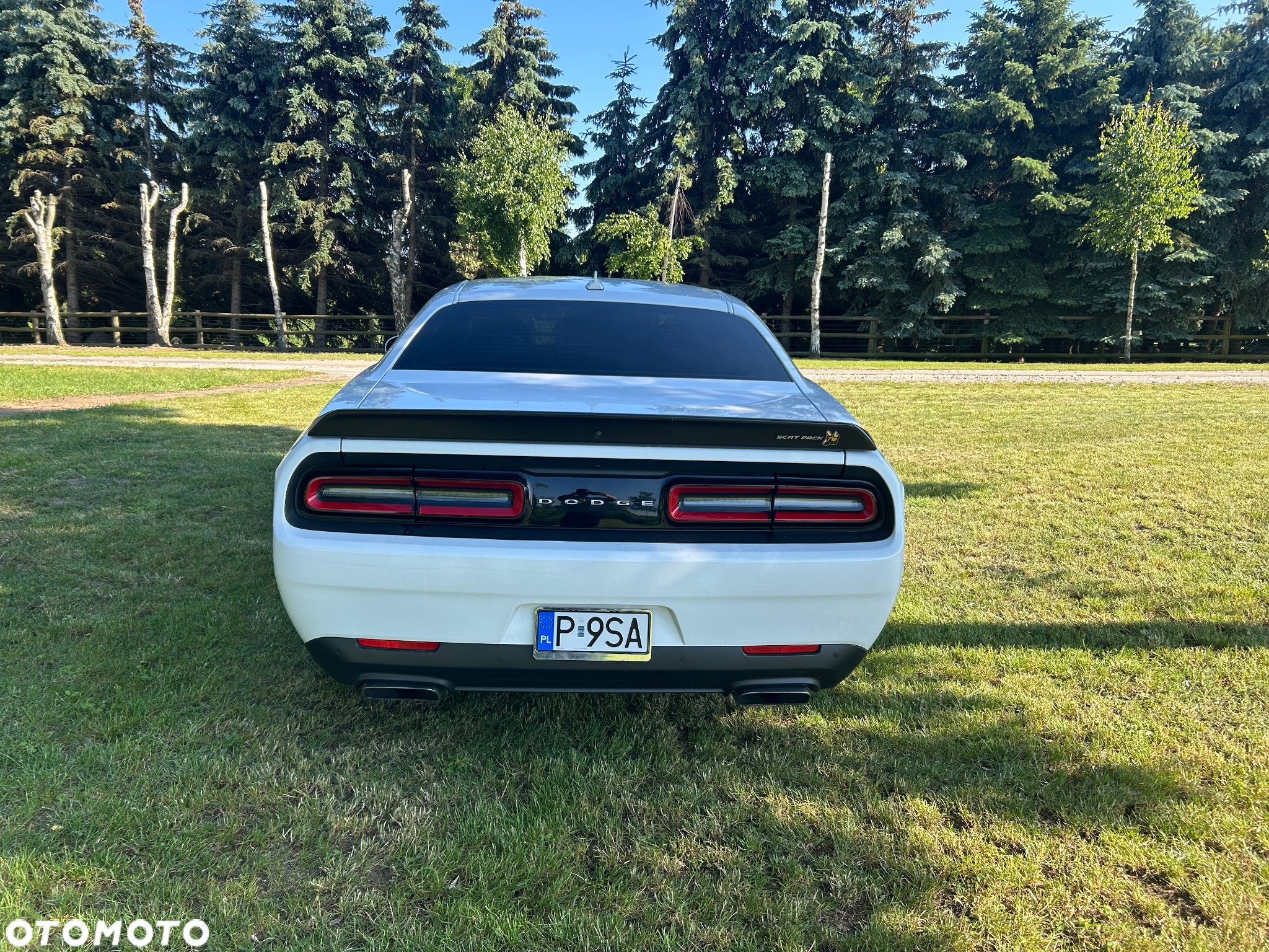 Dodge Challenger 6.4 Scat PackWidebody - 5