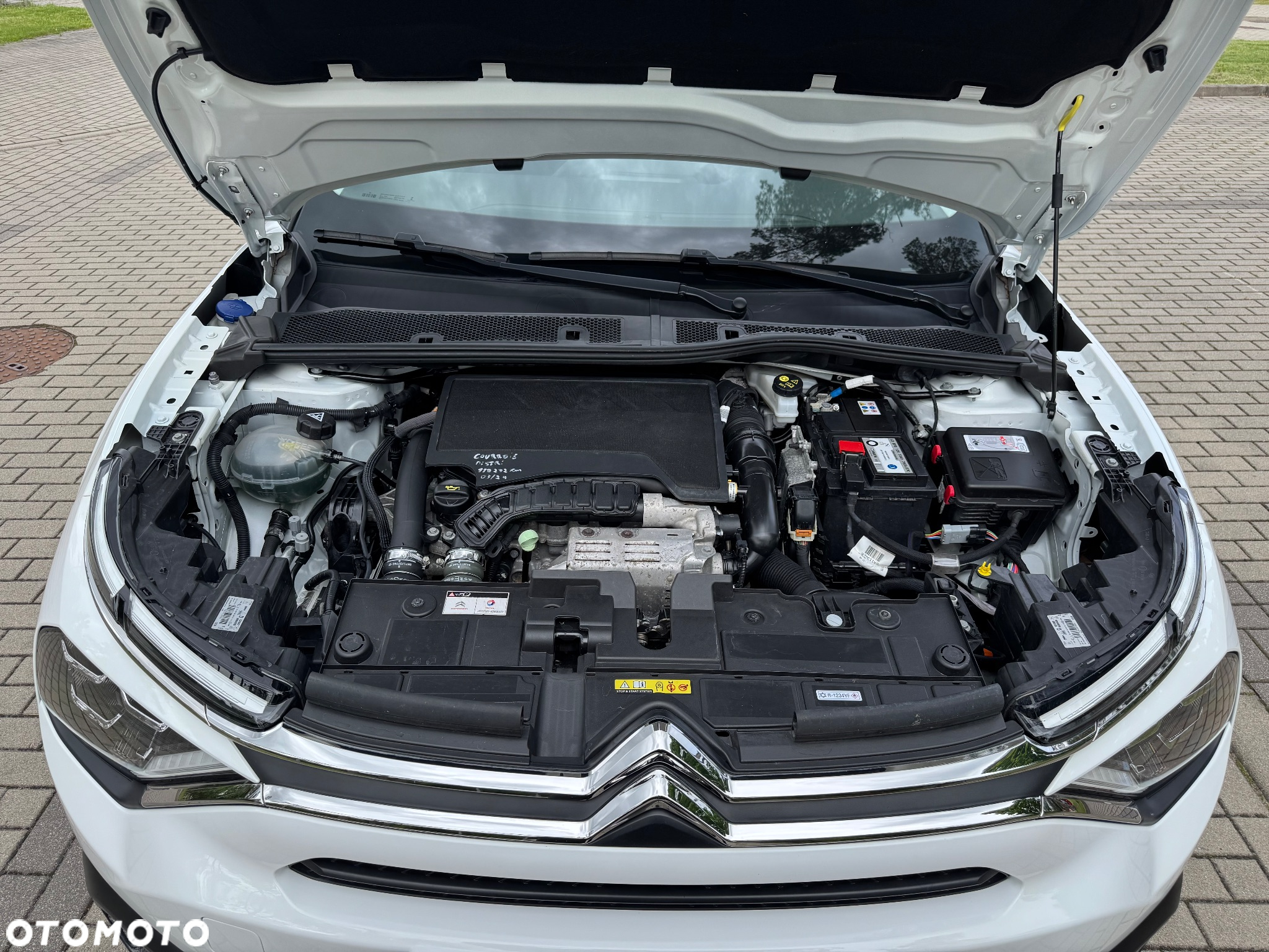 Citroën C4 PureTech 130 Stop&Start EAT8 SHINE - 36