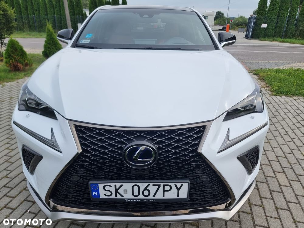 Lexus NX 300h F Sport Edition AWD - 5