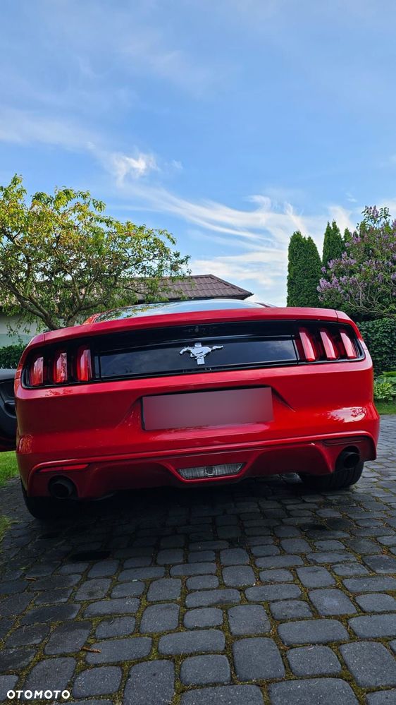 Ford Mustang 3.7 V6 - 6