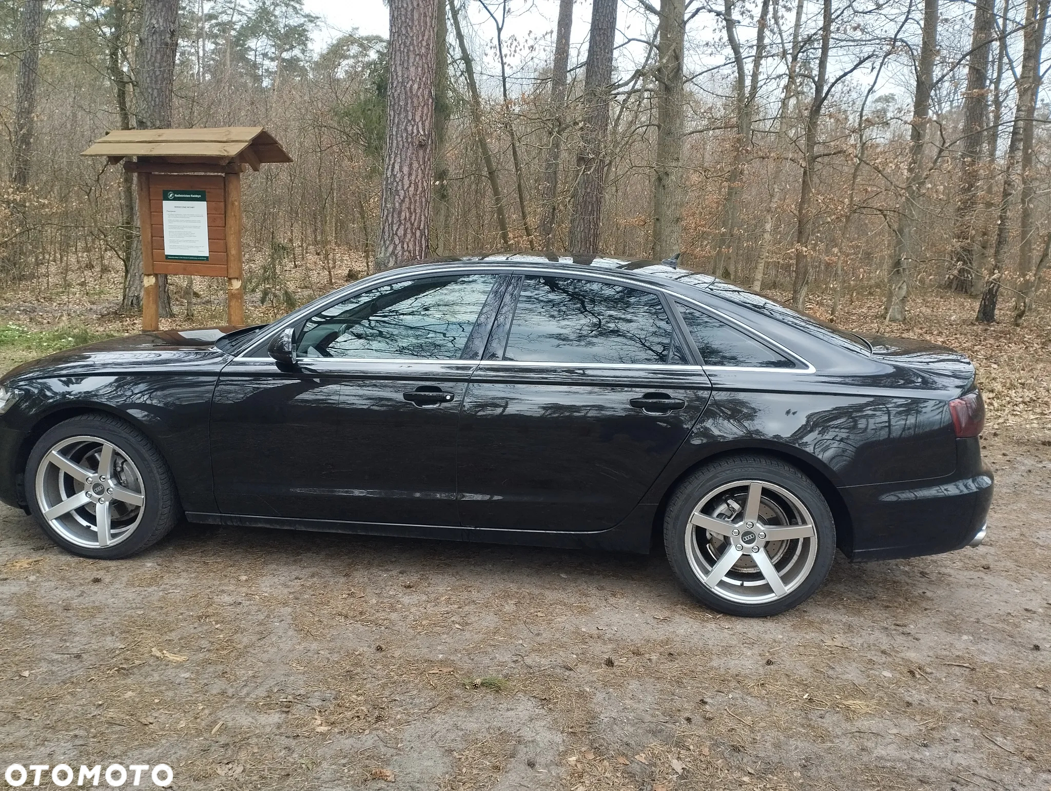 Audi A6 2.0 TDI DPF - 5