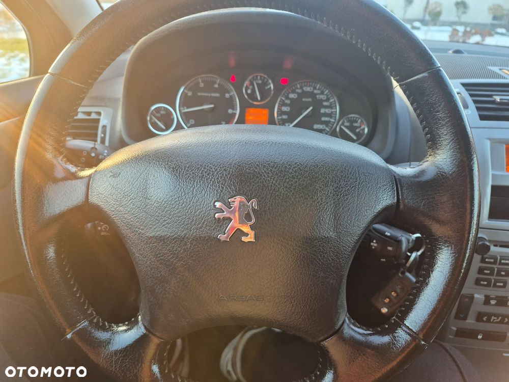 Peugeot 407 - 24
