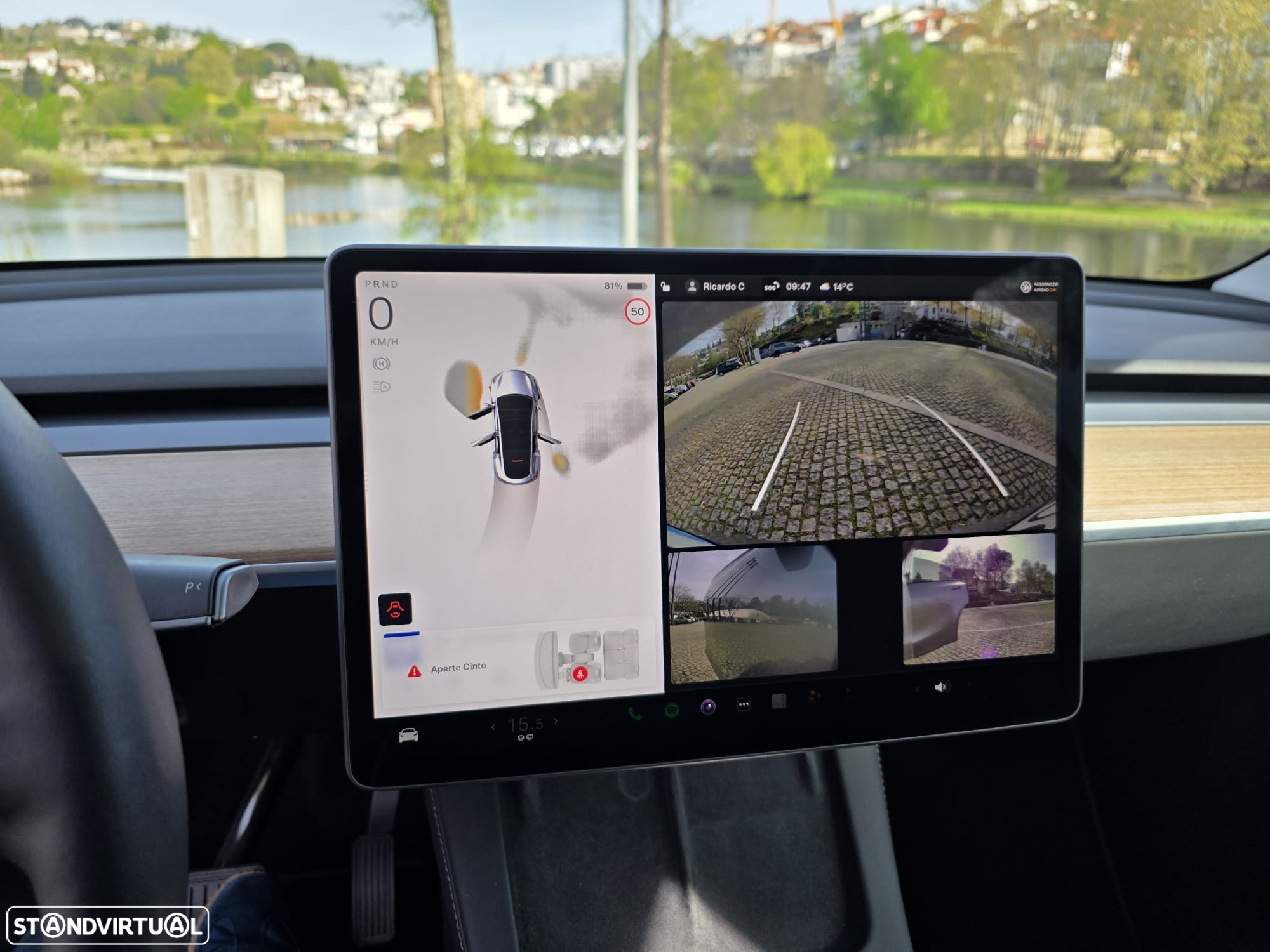Tesla Model Y Long Range Tração Integral - 8