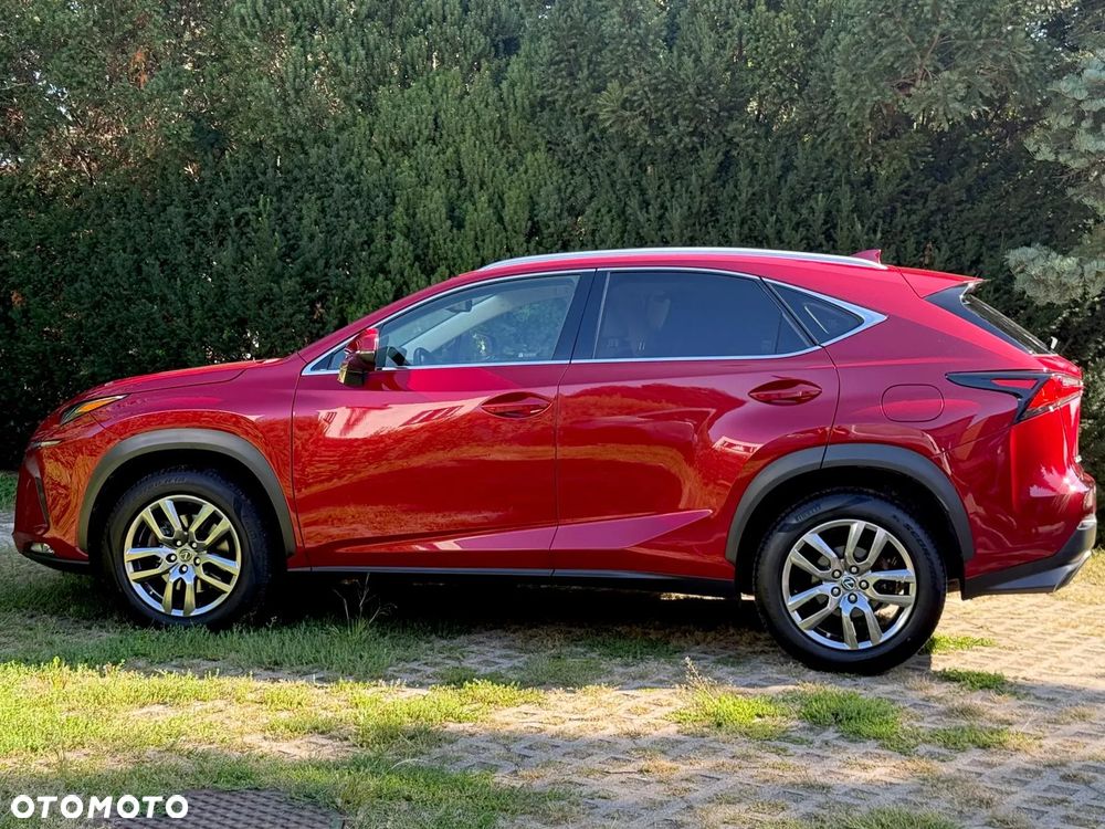 Lexus NX 300 Comfort AWD - 3