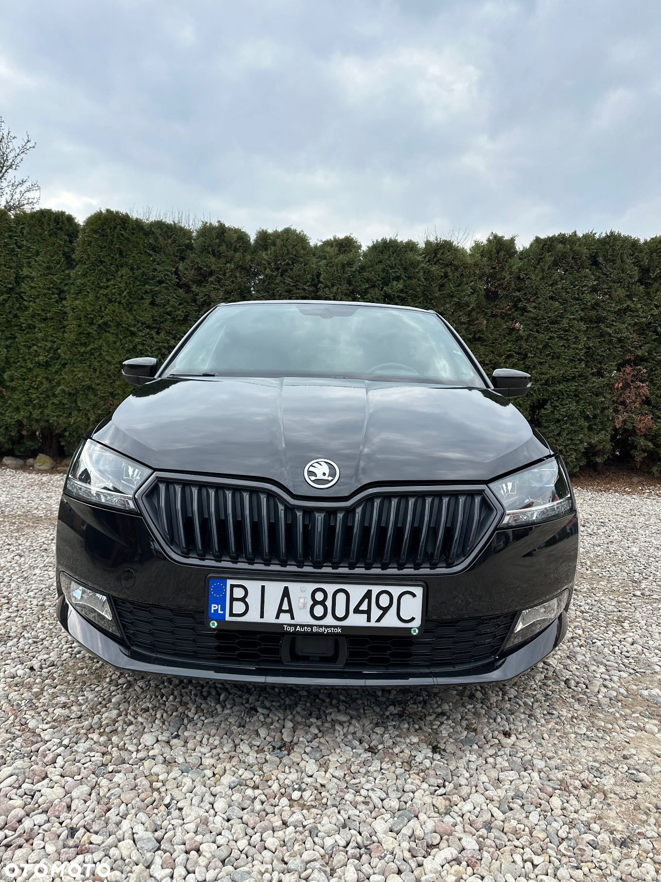Skoda Fabia 1.0 TSI Monte Carlo - 3