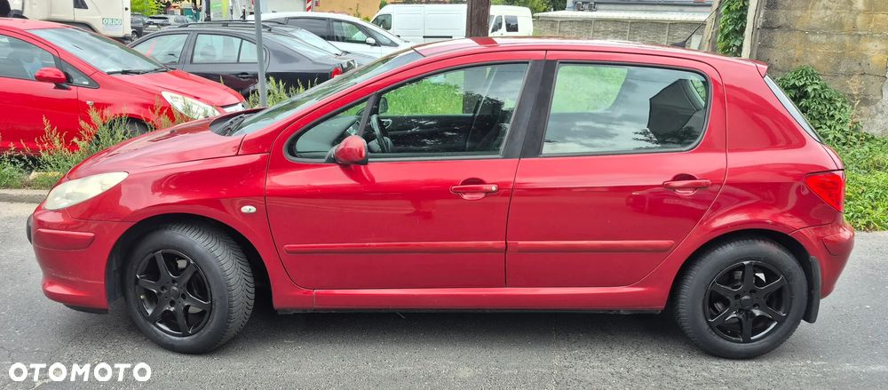 Peugeot 307 1.4 Presence - 5