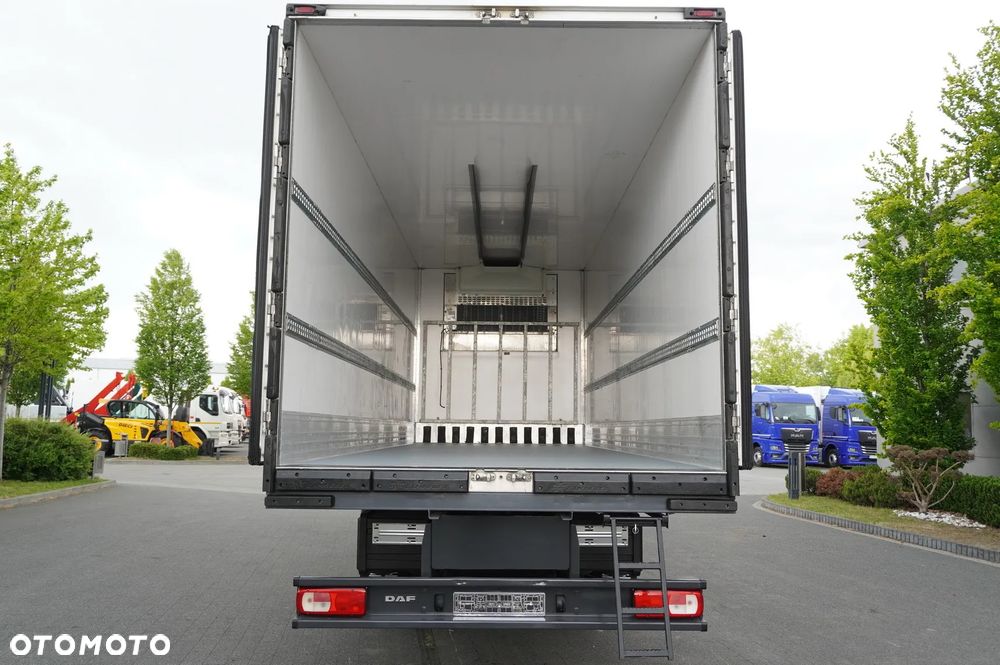 DAF XF 480 Euro 6 / 2021 / Chłodnia Lamberet / Carrier Vector 1550_221299 - 11