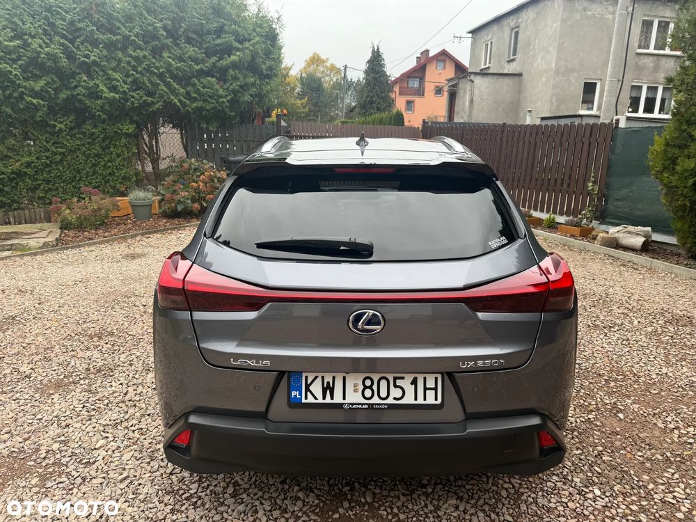 Lexus UX - 8
